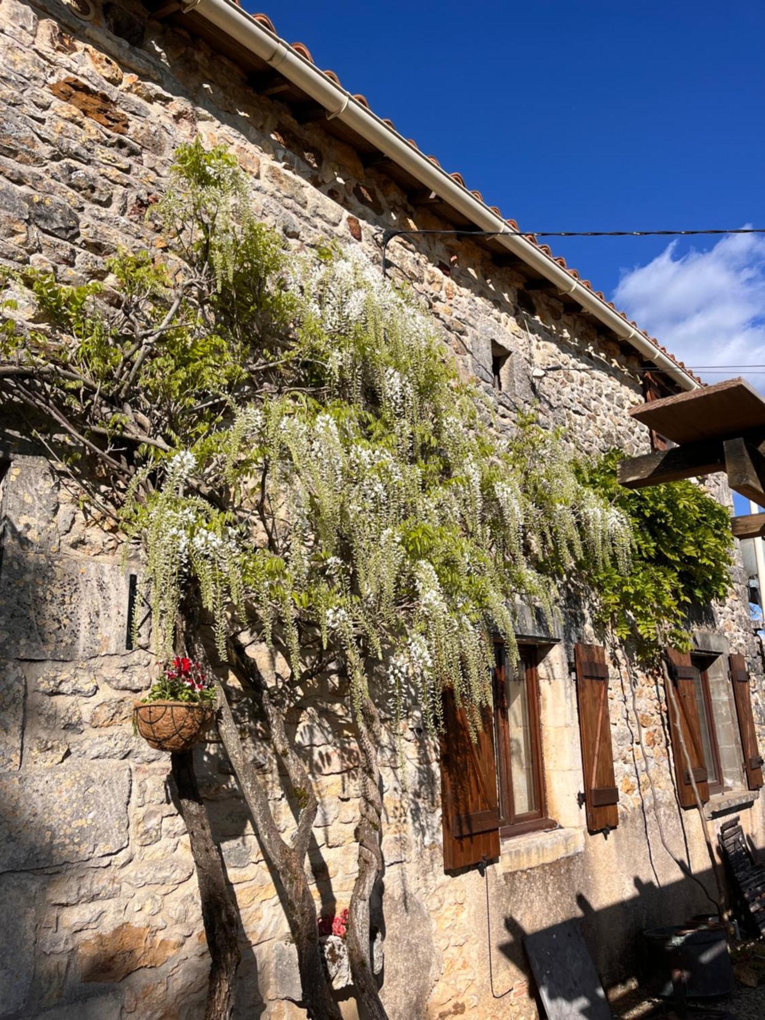 Le Plantier2 Villa Beaulieu-sur-Sonnette Eksteriør bilde